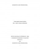 DIAGNOSTICO CLIMA ORGANIZACIONAL. LOGICTRANS MULTIMODAL S.A.S