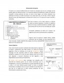 Alimentacion de equinos