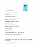 Ejemplo de currículum vítae por Ramirez Ramirez Gilberto.