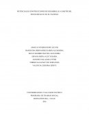 Potenciales construcciones de desarrollo apartir del posconflicto