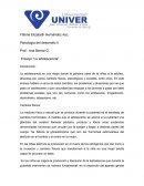 El gran Ensayo “La adolescencia”
