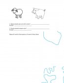 PRUEBA MATE PRIMA ELEMETARE.