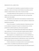 Problemática de la agricultura