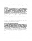POSIBILIDADES DE PRODUCIR ACEITE DE AGUACATE EN MICHOACÁN, MÉXICO