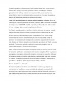 Gestión Energética.