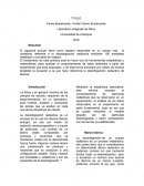 Midelo desintegracion radiactiva