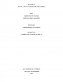 SOLUBILIDAD Y CLASIFICACIÓN DE SOLVENTES