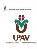 VENTAJAS Y DESVENTAJAS DE LAS REDES SOCIALES EN CHINAMECA VERACRUZ DEL AÑO 2015.