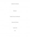 Ensayo de la importancia de las matematicas.