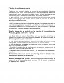 Fijación de políticas de precio