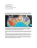 FERIA PINTO, UN HERMOSO LUGAR