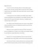 Los proyectos comienzan siendo ideas. Ideas que provienen de clientes o que las empresas les ofrecen.