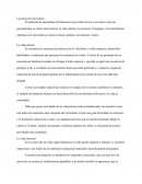 Las áreas del curriculum y la vida practica (Montessori).