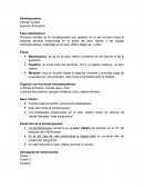 Mieloide: inicia su función desde el segundo trimestre y aumenta luego de la semana 24 del embarazo. Aquí inicia la hematopoyesis la medula.