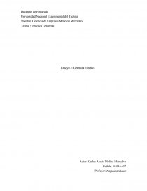 Teoría y Práctica Gerencial. Ensayo 2: Gerencia Efectiva. Página 1