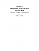 Fases en la vida de una mina a cielo abierto.