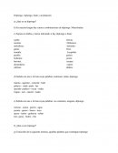 Diptongo, trintongo, hiato.