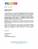 CARTA DE PRESENTACIÓN PINTULOR PORTAFOLIO.