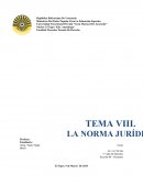 ESTRUCTURA DE LA NORMA JURÍDICA VENEZOLANA