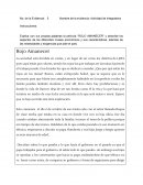 Actividad de Integradora Rojo Amanecer