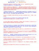 EL PLAN DE VUELO VISUAL.