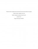 Las Organizaciones promotoras de la prevención dentro de la empresa.