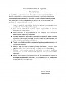 Declaración de políticas de seguridad.