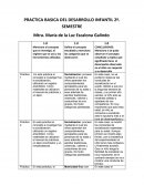 PRACTICA BÁSICA DEL DESARROLLO INFANTIL.