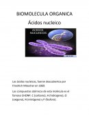 LA BIOMOLECULA ORGANICA