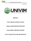 Ingeniería genetica animal.