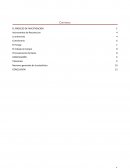 METODOLOGIA EL PROCESO DE INVESTIGACION