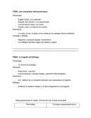 Las costumbres latinoamericanas