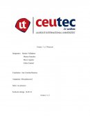 Avance 1 y 2 Descripción y Características del producto