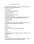 Guía de Legislación Informática.