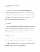 Demanda mercantil. Apuntes varios