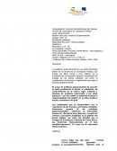 Auditoria gubernamental.