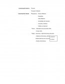 Calendario de vacunación 2016.