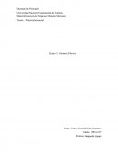 Teoría y Práctica Gerencial. Ensayo 2: Gerencia Efectiva