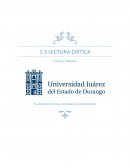 Actividad de lectura crítica