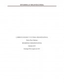 CAMBIO PLANEADO Y CULTURAL ORGANIZACIONAL