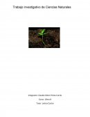 Trabajo investigativo de Ciencias Naturales