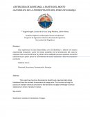 OBTENCIÓN DE BIOETANOL A PARTIR DEL MOSTO ALCOHOLICO DE LA FERMENTACIÓN DEL ZUMO DE NARANJA.