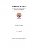 DIVISIÓN DE INGENIERÍAS DEPARTAMENTO DE INGENIERÍA CIVIL Y MINAS