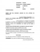 Escrito de Subsanacion