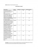 Matriz MEFE y MEFI Isagen