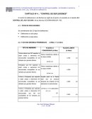 CONTROL DE DEFLEXIONES.