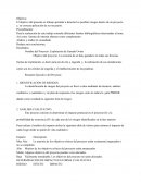 El objetivo del presente es trabajo aprender a detectar los posibles riesgos dentro de un proyecto