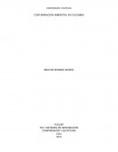 Contaminación ambiental daños al medio ambiente de Colombia