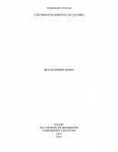 Contaminación ambiental daños al medio ambiente de Colombia