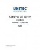 Compras del sector publico